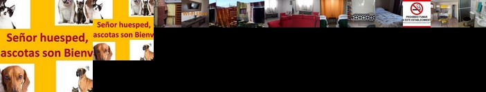 Hotel y Hospedaje Chuy La Casa Amarilla