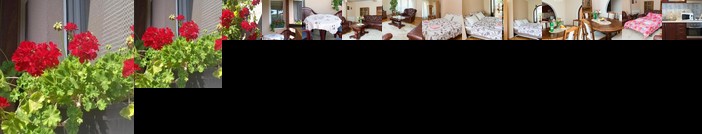 Apartman Solomonovic