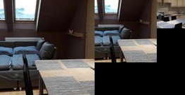 Levendula Bekescsaba