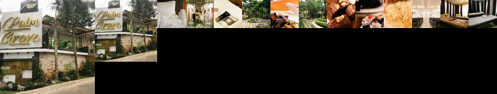 Palm Grove Hotspring and Mt Resort