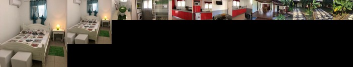 La tourterelle de Neron