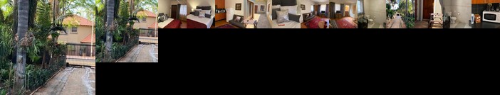 Purple Tulip Pretoria