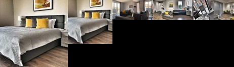 Amazing Brand New 2 Bed/2 Bath Luxury Apartment