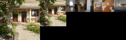 Flora Vendeghaz Tass