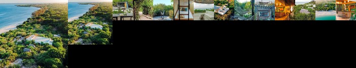 The Slow Leopard Kilwa