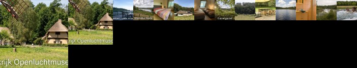 Heidebos Meeuwen-Gruitrode