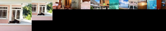 Studio Avenue Hibiscus