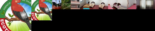 Ecotours Pozuzo - Peru