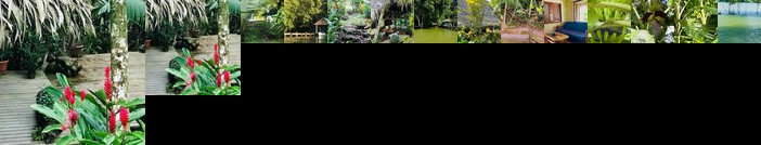 Wooden House Livingston