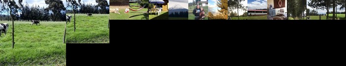 Alojamiento la moya Cotopaxi