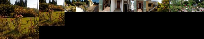 Il Giardino delle Rose A