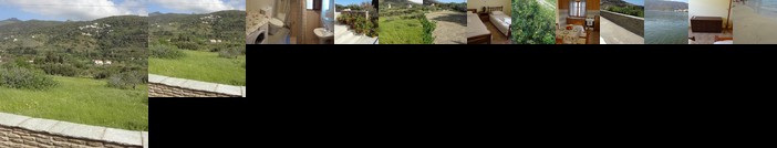 House in the grass land