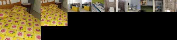 Hibiscus Riviere-Pilote