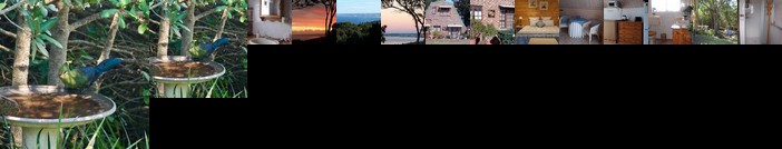 Baywatch - Pinehaven Farm