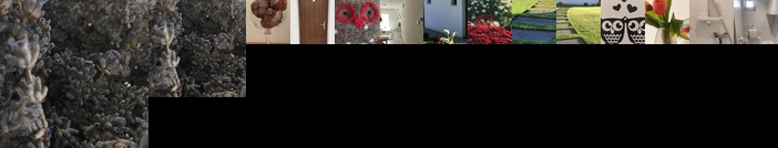 Nyugalom es titkok szigete