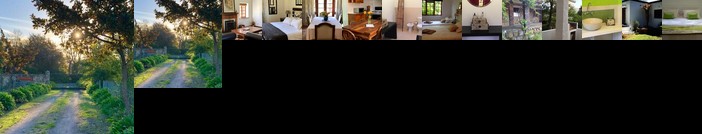 Stonepeak Mountain Lodge