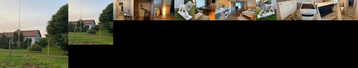 Basic Finland house with 5 bedrooms and a sauna