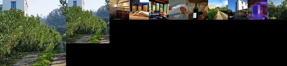 Tenuta Convivium Cuma