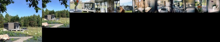 Cottage tout confort au milieu des chevaux