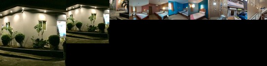 New Blossoms Traveller's Hauz