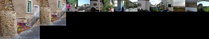 Neffies Languedoc Frankrig