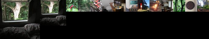 Tony's Offgrid Cabin Getaway