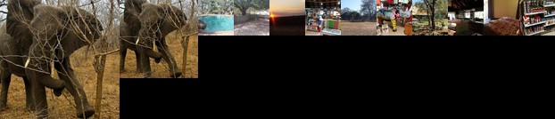 Mopani Camp Family unit