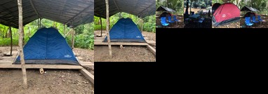 Pacaya Samiria Expeditions