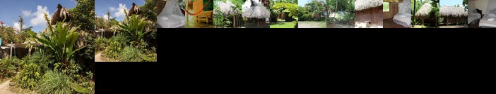 Topche Centro Ecoturistico