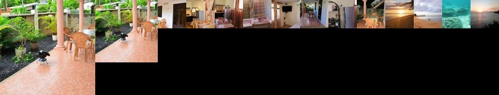 Studio Avenue Hibiscus - 2