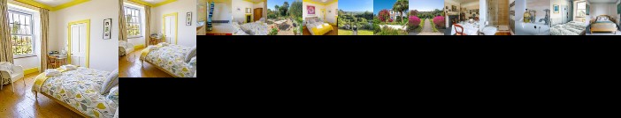 Ivy House Cornwall B&B