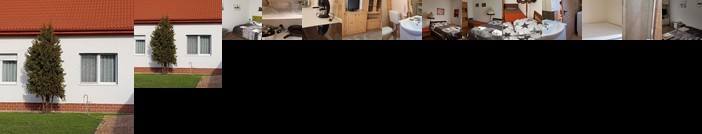 Dunakeszi newly built house near Budapest