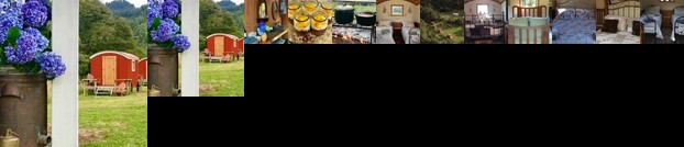 Posh Pioneers - Glamping