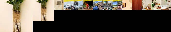 Votre Escale - Boule d'or