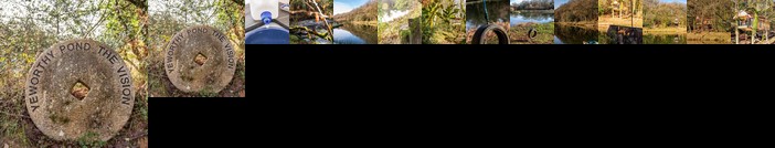 The Tree House - Eco-Friendly Back to Nature Experience