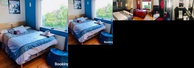 Arty house Dublin south