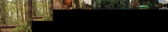 La Casita del Bosque Castro