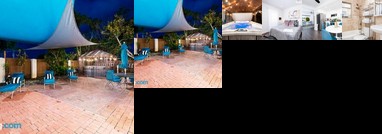 The Glam Dragon 5-10 min Walk to Imperial Beach