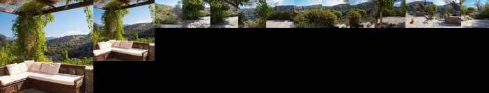 Traditional Stone Winehouse