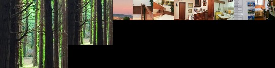 Queres conhecer Sintra