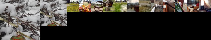 Bagovskaya Guesthouse