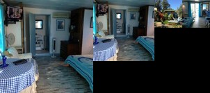 L'oiseau Bleu a CALVI