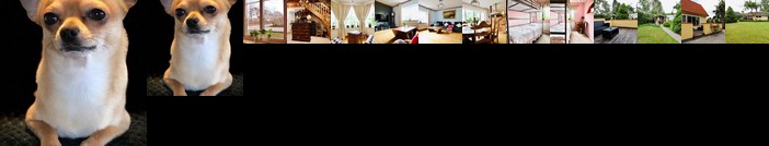 Double/Single Room in Family Villa top location