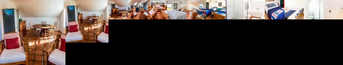 Oudewerfskloof Olive Farm