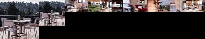 Forest View Apartment Thessaly