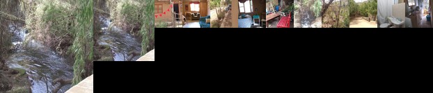 Alcohuaz Gabriela Matus