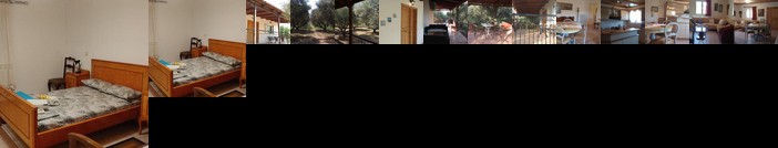 Mallios Home FLOKA close to Ancient Olympia