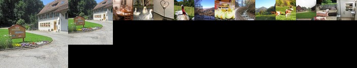 Gast und Hof Spittel