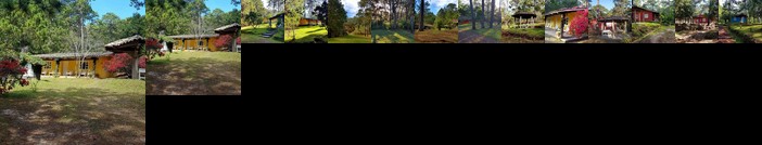 Cabanas Bosque llano de la Virgen