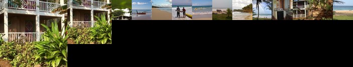 Treehouse on Long Bay